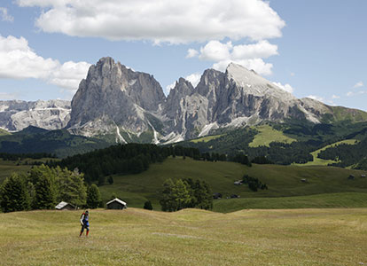 Seiser Alm