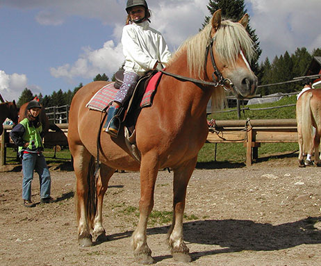 Reiten