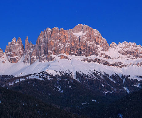 Rosengarten