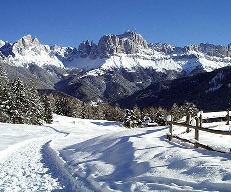Rosengarten