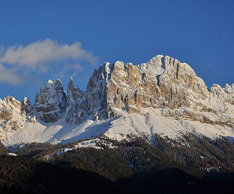 Rosengarten