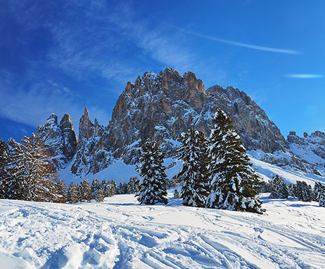 Rosengarten