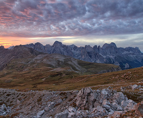 Rosengarten