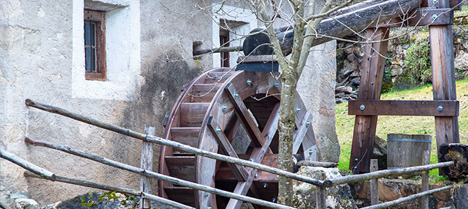 Mühlen- und Hofbesichtigung