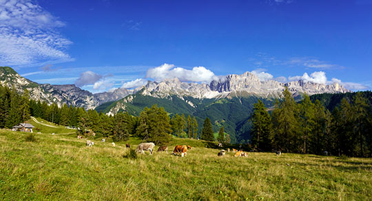 Webcam Tiers am Rosengarten